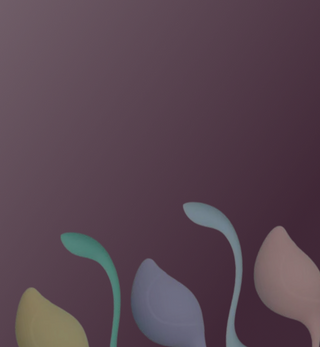 Sexual Health & Wellness
