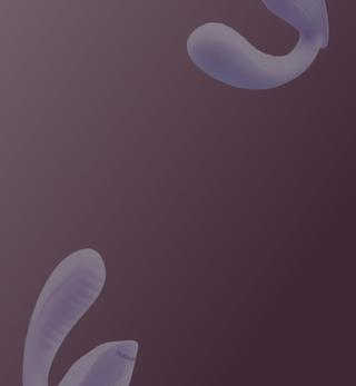 Strap-On Dildos and Harnesses