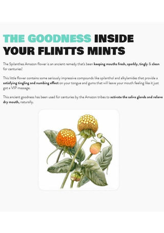 Flintts Mints Mouth Watering Oral Delights - Luxury