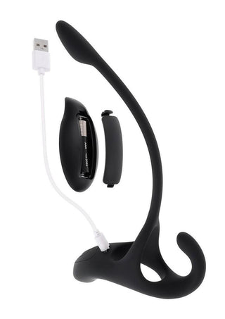 Zero Tolerance All The Bases Rechargeable Silicone Couples Ring and Plug with Remote